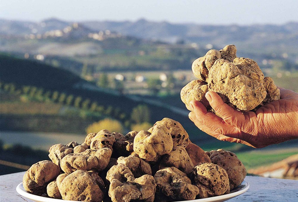 A VOLTERRA SAPORI IN FESTA CON LA VII MOSTRA MERCATO DEL TARTUFO MARZUOLO A VOLTERRA SAPORI IN FESTA CON LA VII MOSTRA MERCATO DEL TARTUFO MARZUOLO