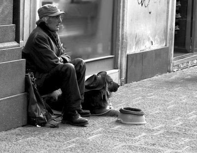 Lezioni di vita randagia Lezioni di vita randagia