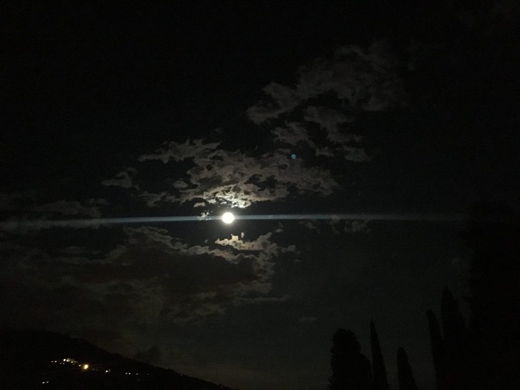 Nous n’avons jamais commencé Nous nous sommes toujours aimés. Nous n’avons jamais commencé Nous nous sommes toujours aimés.