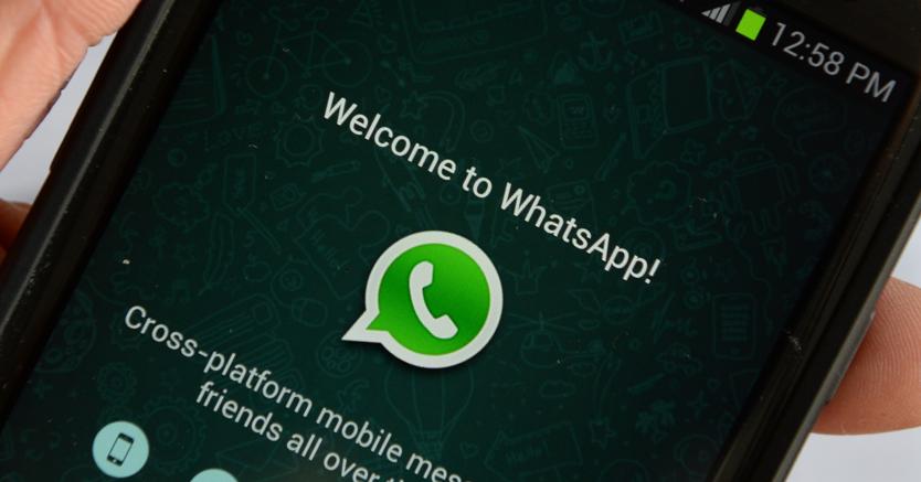 WhatsApp Business sbarca in Italia WhatsApp Business sbarca in Italia